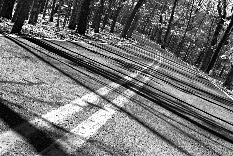 Shadows on the Bend