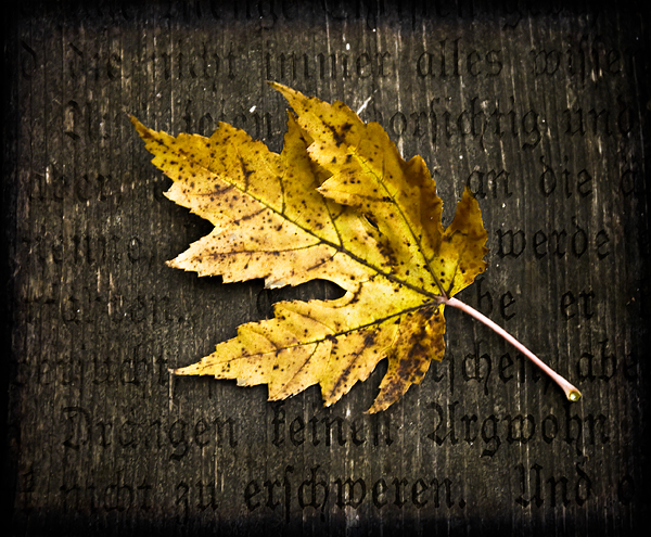 Autumn's Poem