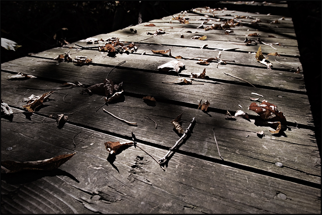 Boardwalk 