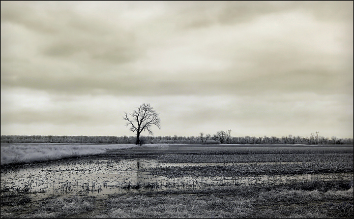 Reflection of Loneliness