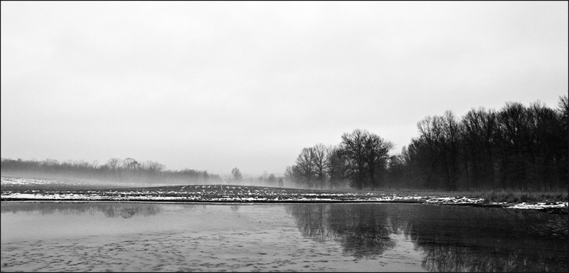 Winter Morning