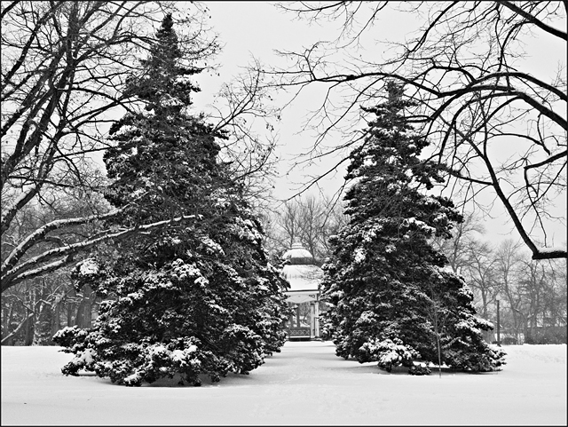 Winter at the Park