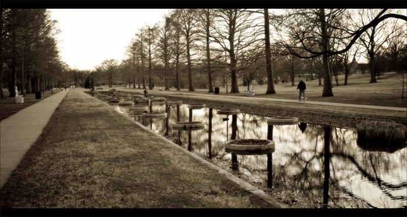 A walk through the park