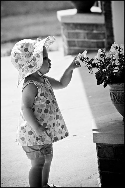 Sophia & the Flower