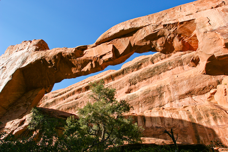 Wall Arch