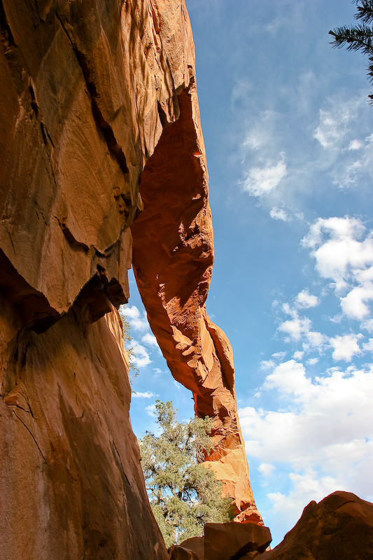 Wall Arch