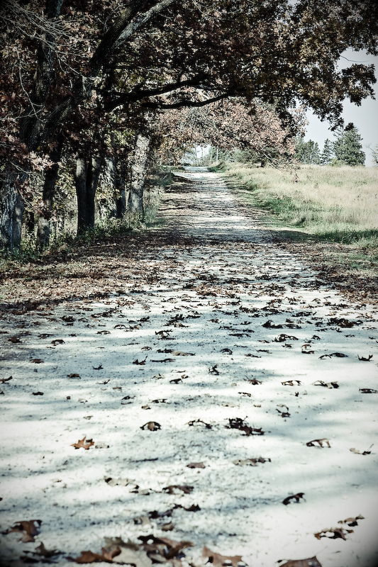 The Long Road