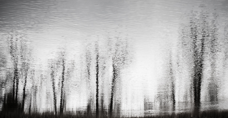 Winter's Reflection