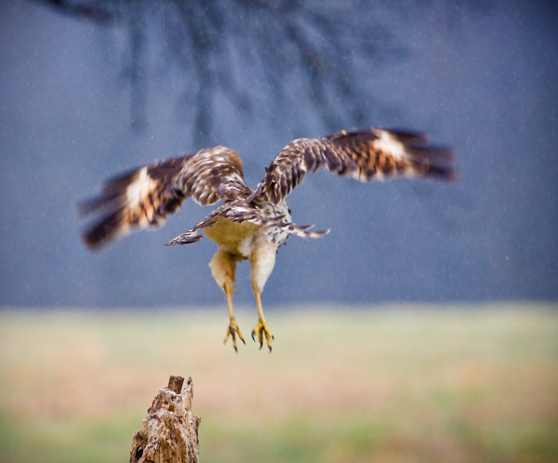 Take off