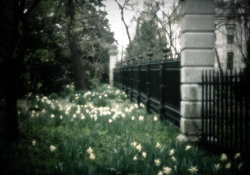 Spring knows no boundary 