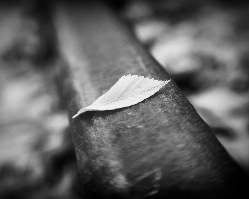 Fallen