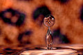 Leopard Drop