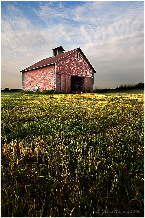 Illinois Farm