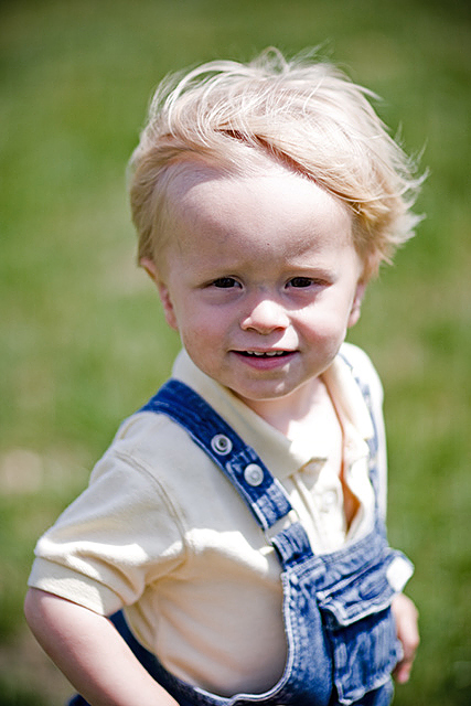 IMG_6075dpc.jpg