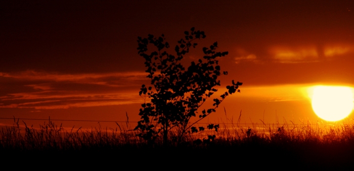 New Life....a New Day...
