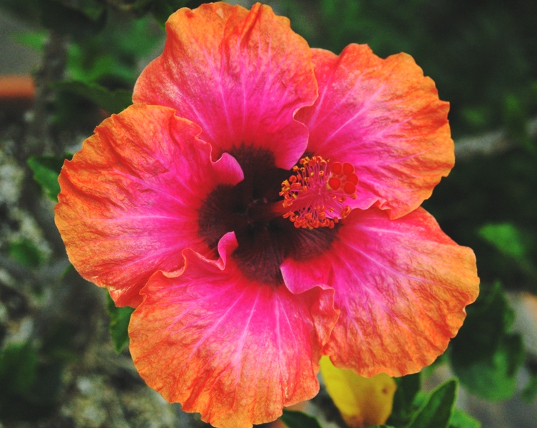 Blinded by color