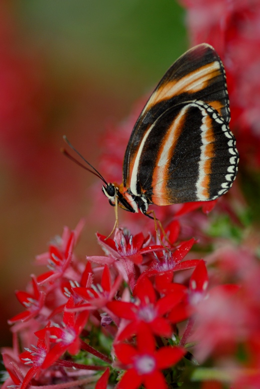 DSC_0140.JPG