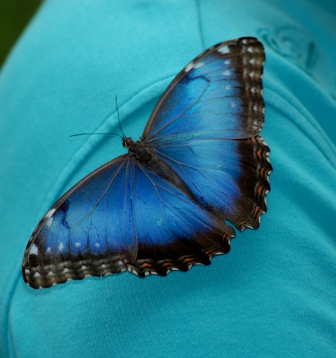 DSC_0163.JPG