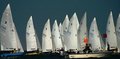 Thistle Regatta