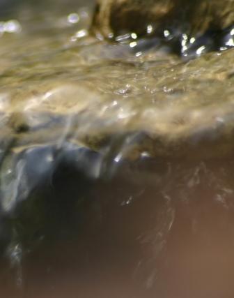 Falling Water