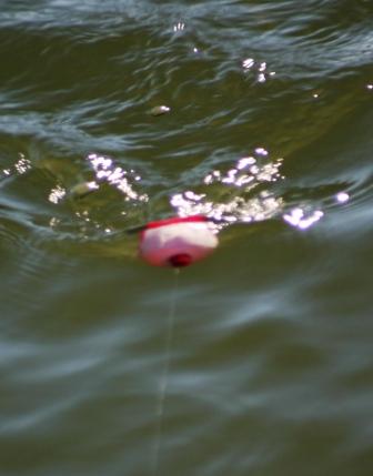 Bobbing Around