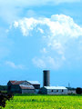 Barn.jpg