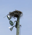 Osprey-1.jpg