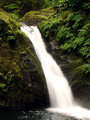 Goldstream-4.jpg