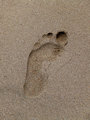 FootPrint.jpg