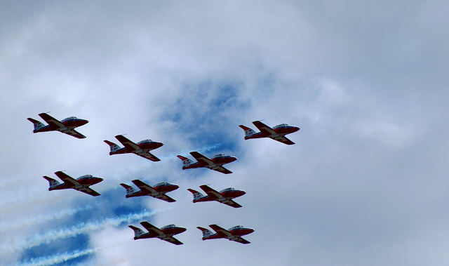 Snowbirds-1.jpg