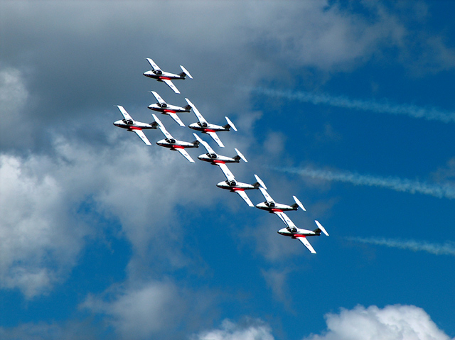 Snowbirds-2.jpg