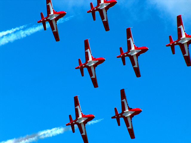 Snowbirds-3.jpg
