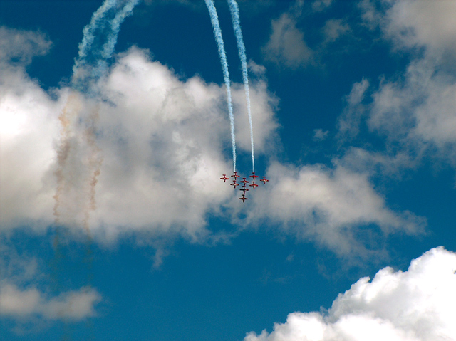 Snowbirds-4.jpg