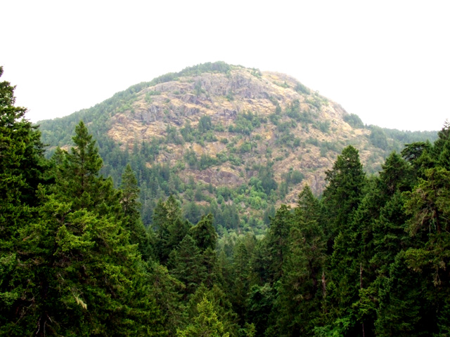 Goldstream-9.jpg