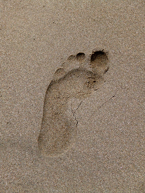 FootPrint.jpg