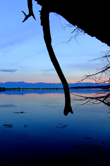 lagoon-3.jpg