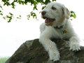 1152X864-Chaun-On-The-Rocks.jpg