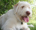 Clean-Chaun-6751.jpg