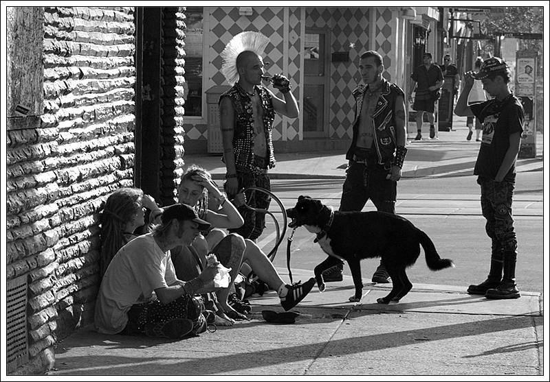 a man's best friend