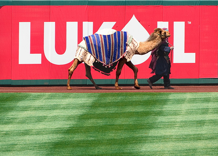 Outfielder