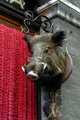 Bored Boar?