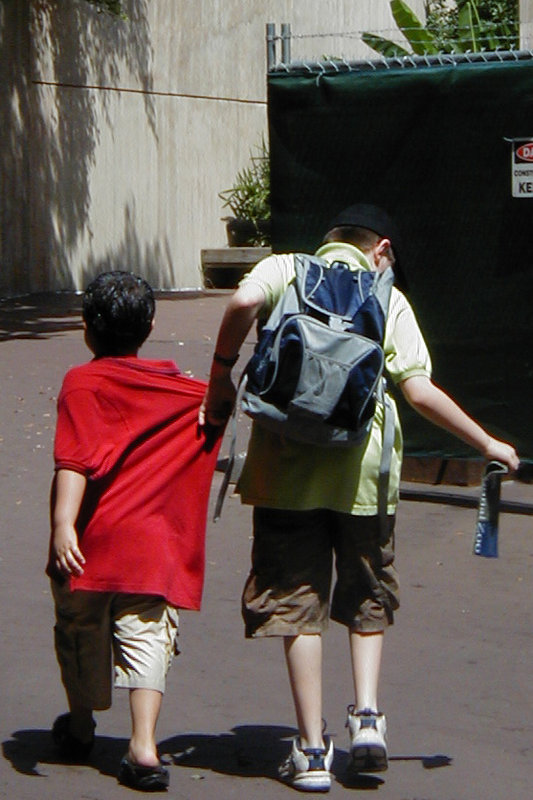 Big Brother