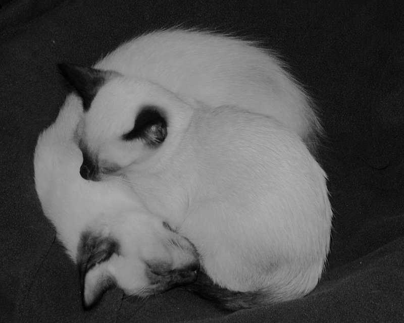 Peaceful Moment