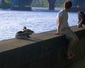 Ducks in the Sun 5