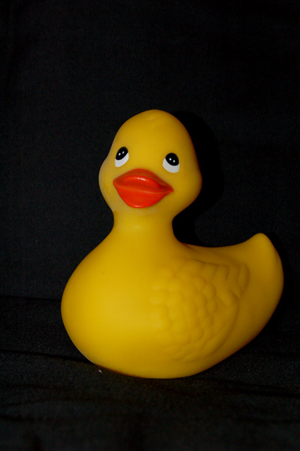 DSC_3745.jpg