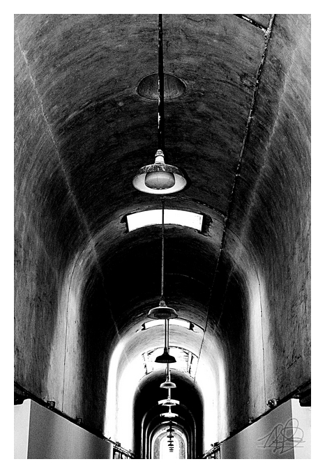 DSC_3897-highcontrastBW.jpg