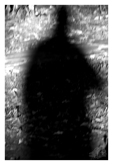 30DaySP - Day 36 - Sunrise Shadow