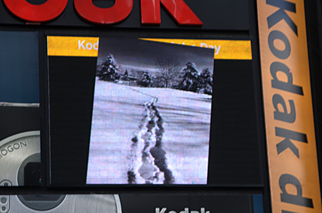 DSC_1693.jpg