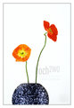 Irish Poppies