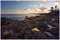 Rocky shores of Lanzarote II